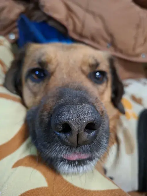 Foto del servicio